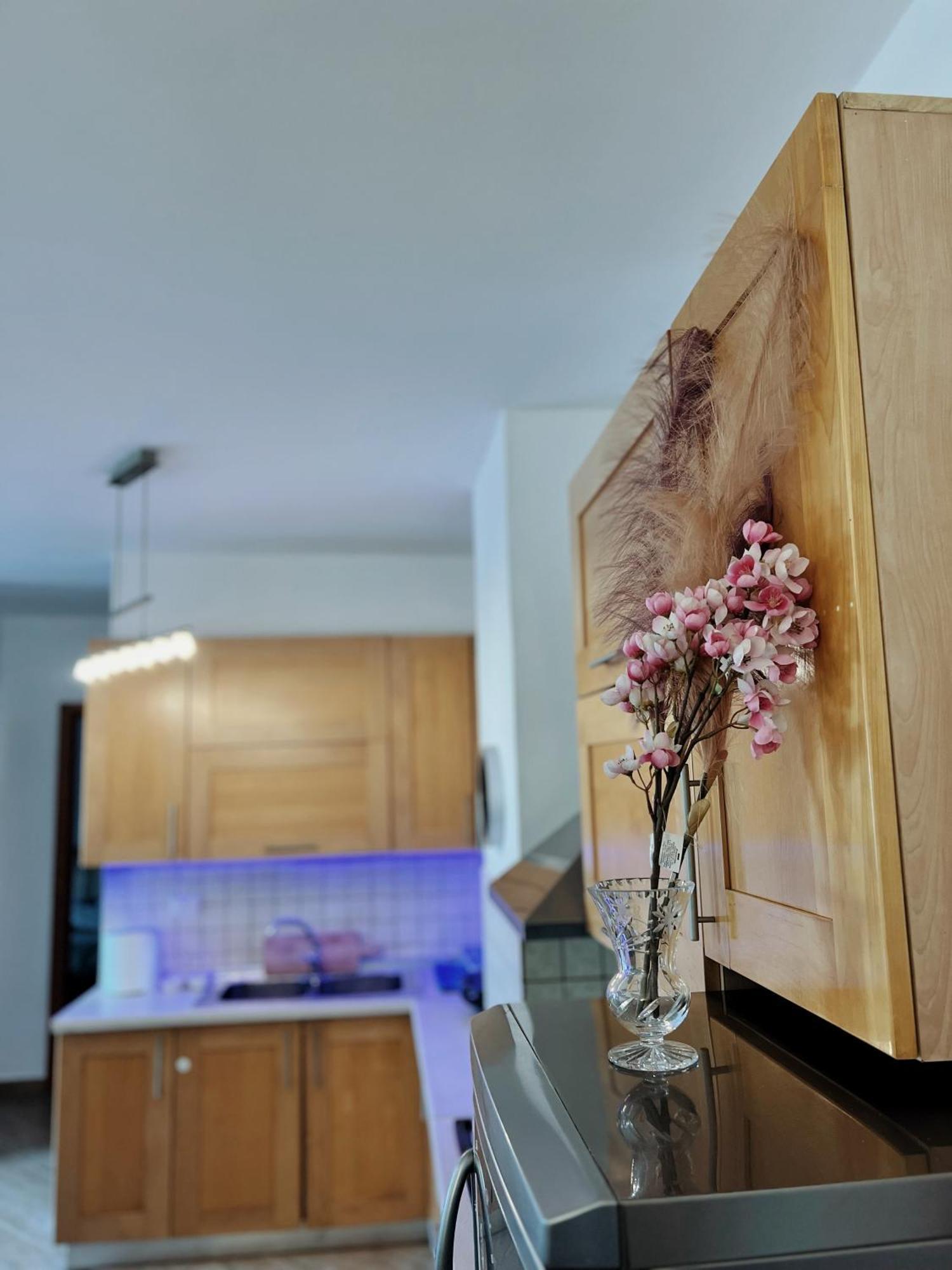 Lovely Apartment 티라나 외부 사진